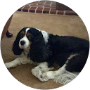 Roger G. profile picture